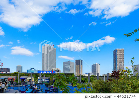 從食物和綠色空中花園觀看陽光城市 從食物和綠色空中花園觀看陽光城市 44521774