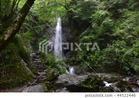 Kanazawa Falls Kanazawa Falls 44522446