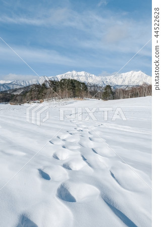 Nakayama高原在冬天 44522628