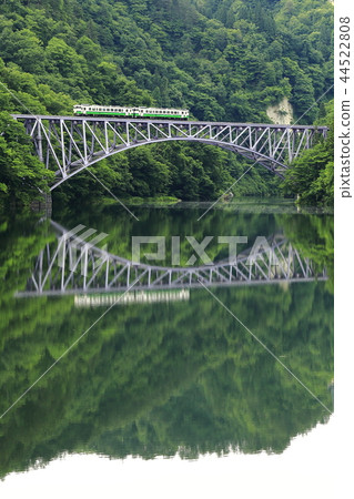 Fresh green Tadami line 44522808