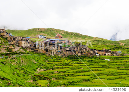 Green terraced fields and traditional architecture 44523698