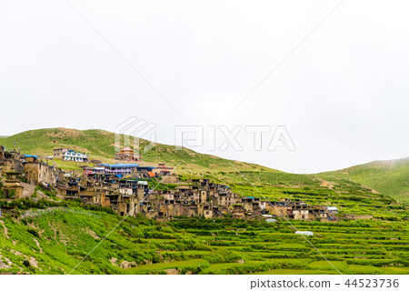 Green terraced fields and traditional architecture Green terraced fields and traditional architecture 44523736