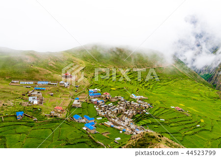 Green terraced fields and traditional architecture Green terraced fields and traditional architecture 44523799