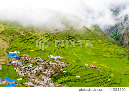 Green terraced fields and traditional architecture Green terraced fields and traditional architecture 44523801