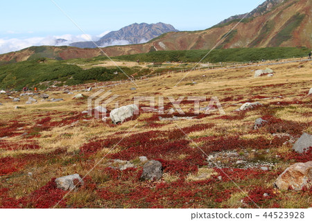 Dainichidake towering beyond the autumn-colored Chingulma carpet of Tateyama Murodo 44523928
