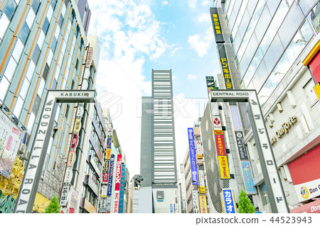 新宿歌舞伎町中央路 新宿歌舞伎町中央路 44523943