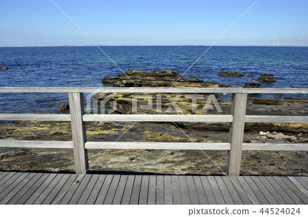 Boardwalk and horizon 44524024