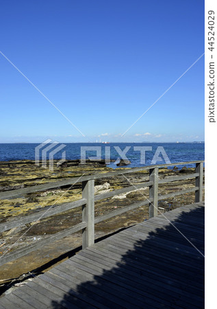 Seaside promenade Seaside promenade 44524029