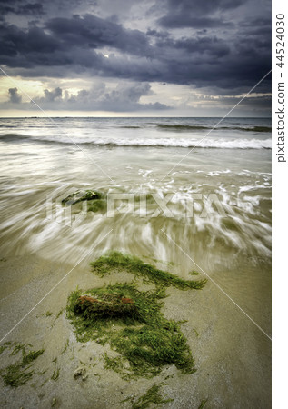 soft wave flow over the rock and moss soft wave flow over the rock and moss 44524030