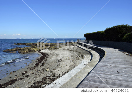 Boardwalk Kannonzaki 44524031