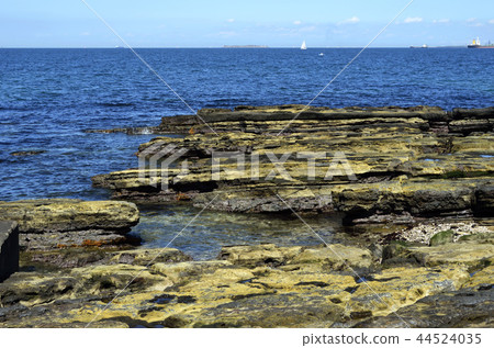 Reef Reef 44524035