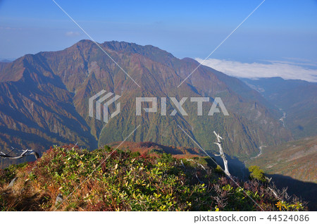 The ridge of autumn leaves and the Mt. Hachiman from the climb to Echigo Komagatake Gushigahana 44524086