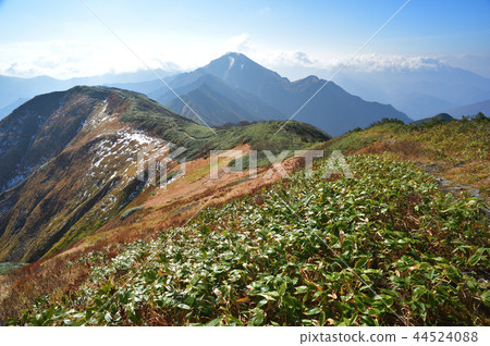 從Echigo Komagatake看到的Suwahira和Nakanodake 44524088