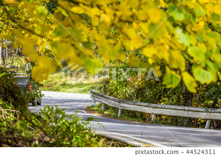 長野縣茅野市Tateshin高原Maruen高速公路 長野縣茅野市Tateshin高原Maruen高速公路 44524311