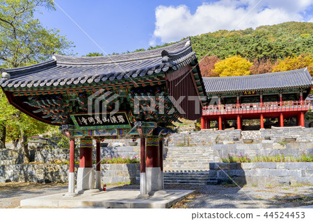 廣泛使用 44524453