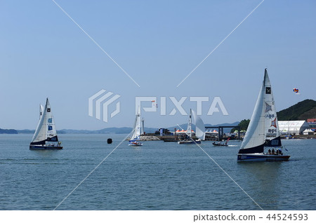 遊艇比賽 44524593