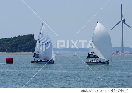 遊艇比賽 44524625