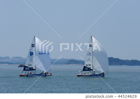 遊艇比賽 44524629