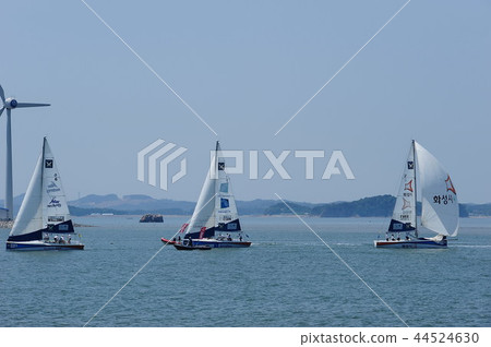 遊艇比賽 遊艇比賽 44524630
