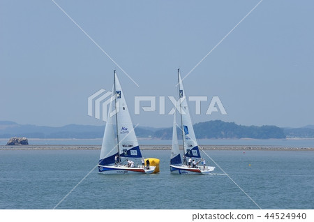 Yachting competition 44524940