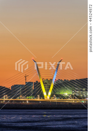 Songdo New Town Songdo New Town 44524972