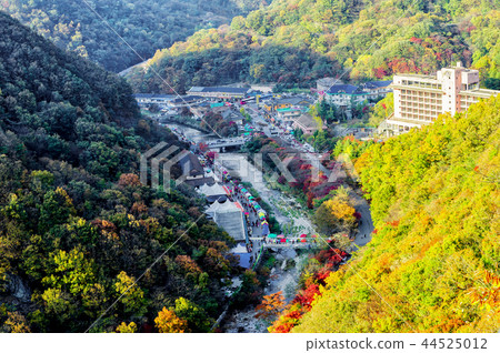 Baekyangsa Temple 44525012