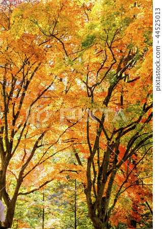 Baekyangsa Temple 44525013