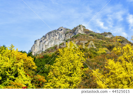 Baekyangsa Temple 44525015