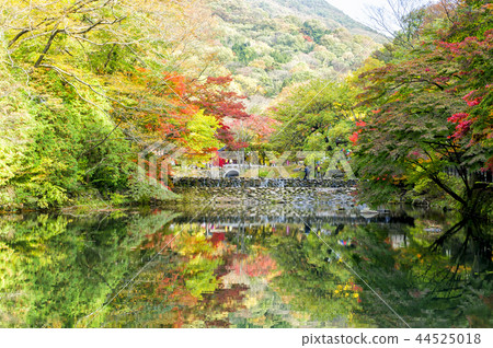 Baekyangsa Temple Baekyangsa Temple 44525018