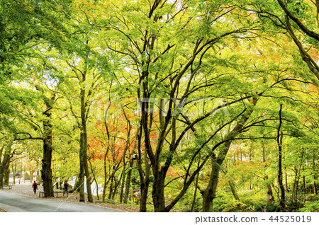 白楊寺 白楊寺 44525019