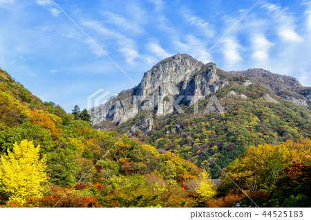 Cultivator, temple 44525183