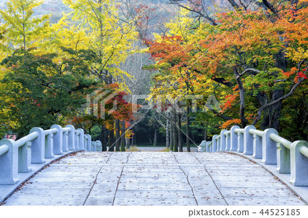 Seununsa Temple 44525185