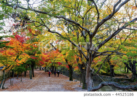 Seununsa Temple 44525186