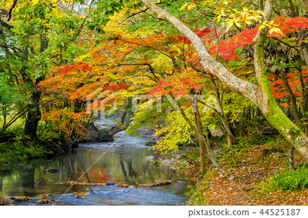 Seununsa寺 44525187
