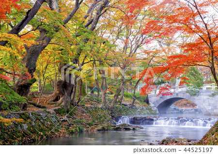 Seununsa Temple Seununsa Temple 44525197