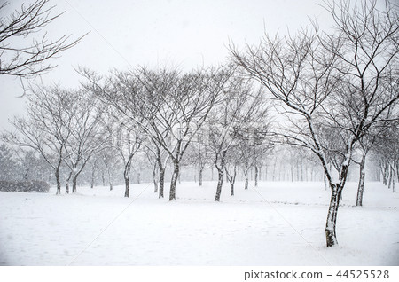 Okgu Park 44525528