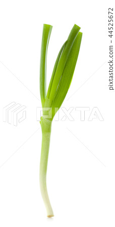 Green onion isolated on the white background 44525672