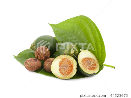 fresh betel nut on betel leaf isolated on white fresh betel nut on betel leaf isolated on white 44525673