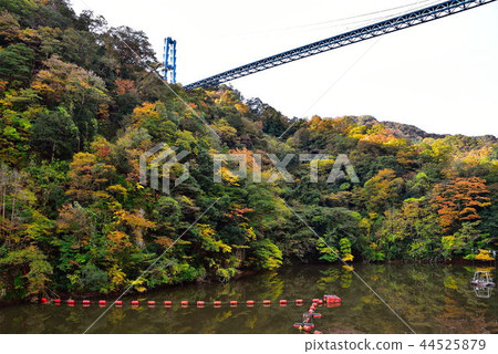 Ryujin Gorges 44525879