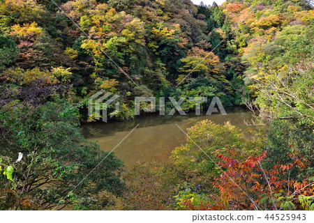 Ryujin Gorges 44525943