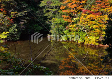 Ryujin Gorges 44525944