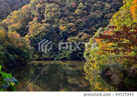 Ryujin Gorges 44525945