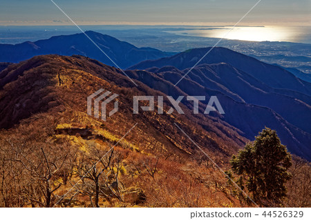 從Tanzawa和Tonotake到Ozone和Oyama以及Shonan的海景 從Tanzawa和Tonotake到Ozone和Oyama以及Shonan的海景 44526329