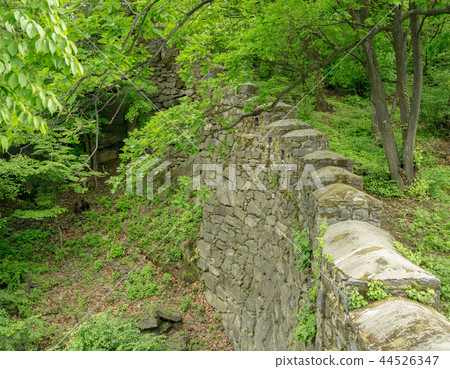 Namsan Hanyang Province circumference Namsan Hanyang Province circumference 44526347