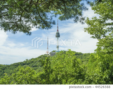 南山塔 44526388