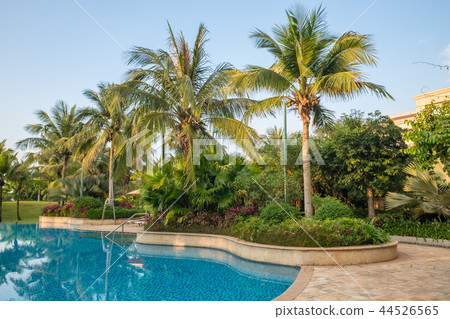 Resort hotel pool morning Resort hotel pool morning 44526565