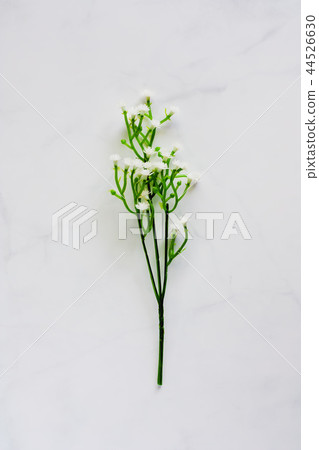 Artificial plant decoration on white background Artificial plant decoration on white background 44526630