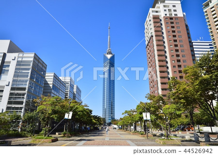 福岡市景福岡塔 44526942
