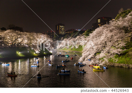 Chidorigafuchi和東京鐵塔的櫻花 44526943