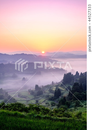 梯田(早晨) 梯田(早晨) 44527333